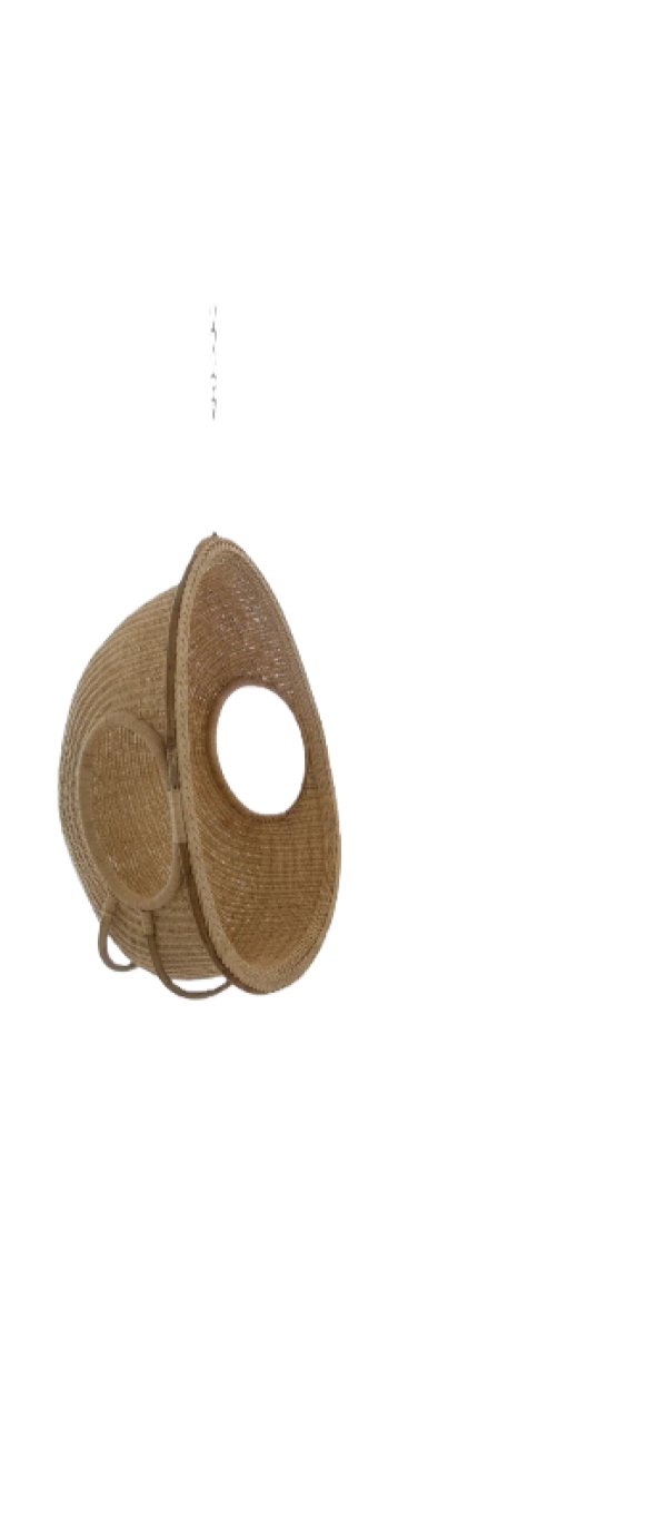 Cane Nest Swing Chair